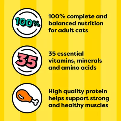 Product Temptations Bites In Gravy Adult Wet Cat Food - 3.5oz