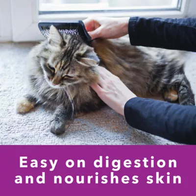 Product IAMS Perfect Portions Sensitive Digestion & Skin Adult Cat Wet Food - Pate, 2.6oz