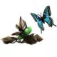 Product Playology® Motorized Hummingbird/Butterfly Teaser Cat Toy