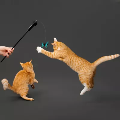 Product Playology® Motorized Hummingbird/Butterfly Teaser Cat Toy