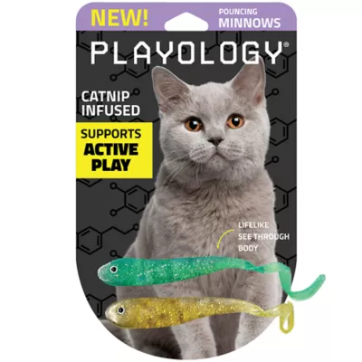 Product Playology® Minnow Cat Toys, 2 Pack