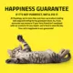 Product Playology® Centipede Cat Toy