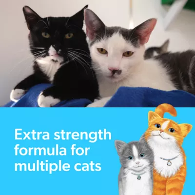 Product Fresh Step Multi-Cat Clumping Cat Litter With Febreze Freshness, Box, 25 LB