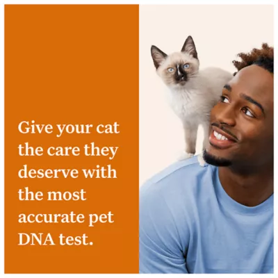 Product Wisdom Panel Complete DNA Test Kit for Cats