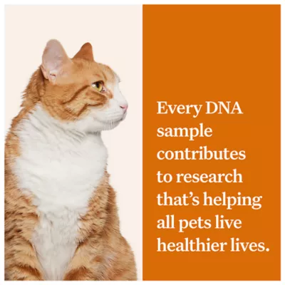 Product Wisdom Panel Complete DNA Test Kit for Cats