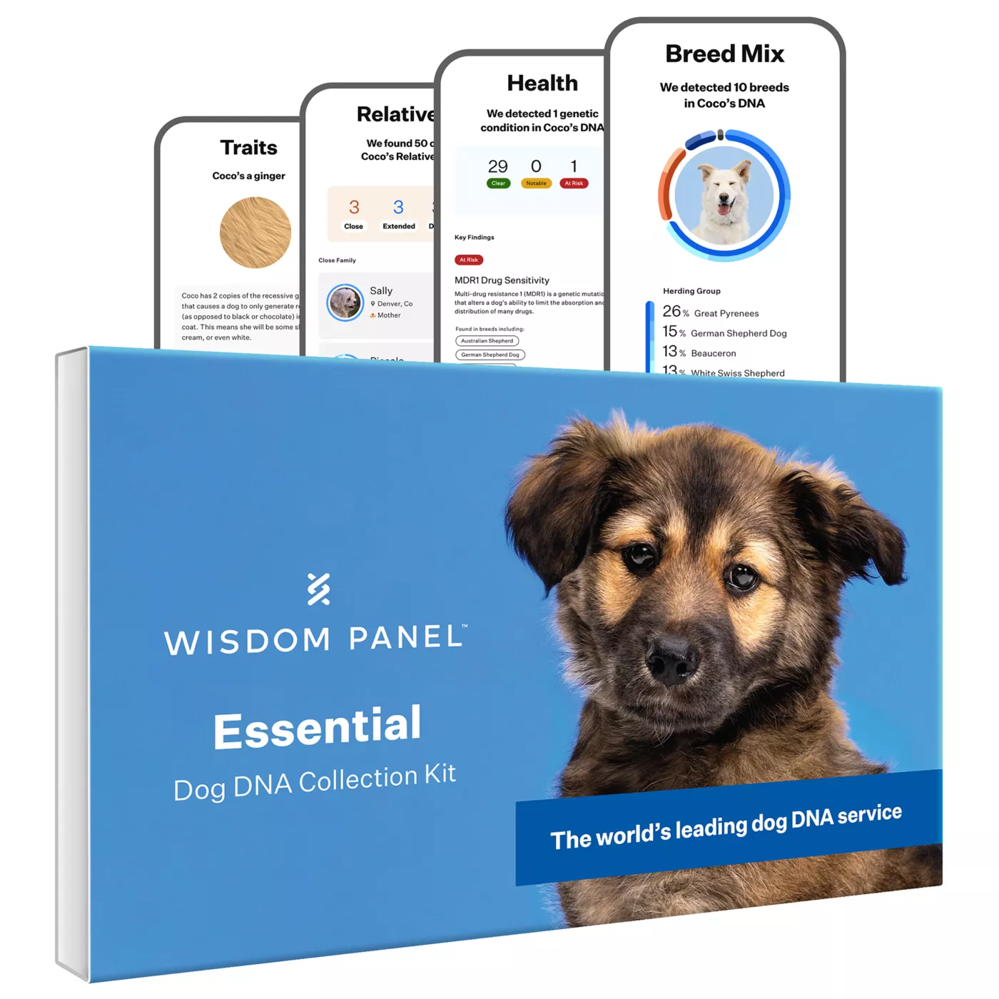 Wisdom Panel Essential Breed Identification DNA Test for Dogs