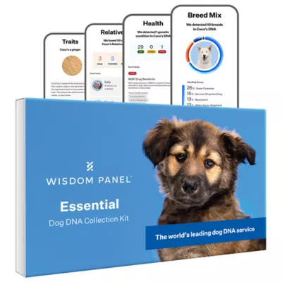 Product Wisdom Panel Essential Breed Identification DNA Test for Dogs