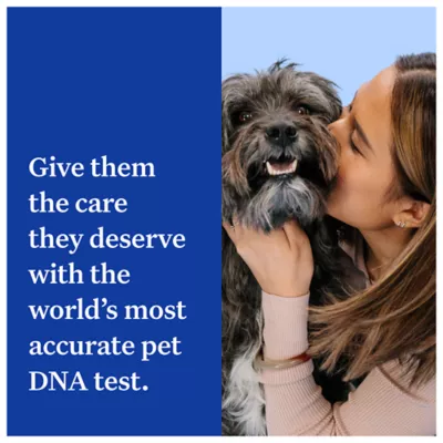 Product Wisdom Panel Essential Breed Identification DNA Test for Dogs