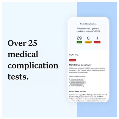 Product Wisdom Panel Essential Breed Identification DNA Test for Dogs