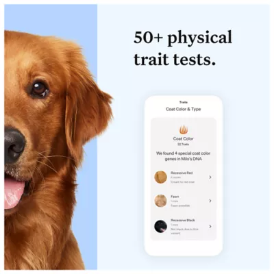 Product Wisdom Panel Essential Breed Identification DNA Test for Dogs