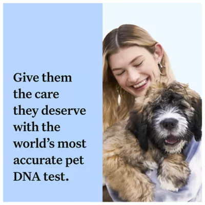 Product Wisdom Panel Breed Discovery Breed Identification DNA Test for Dogs