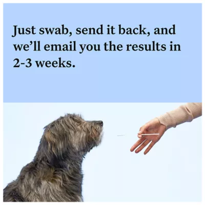 Product Wisdom Panel Breed Discovery Breed Identification DNA Test for Dogs