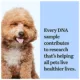 Product Wisdom Panel Breed Discovery Breed Identification DNA Test for Dogs