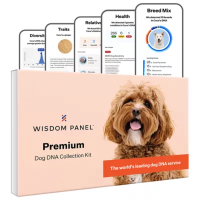 Product Wisdom Panel Premium Breed Identification & Health Condition Identification DNA Test for Dogs