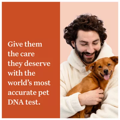 Product Wisdom Panel Premium Breed Identification & Health Condition Identification DNA Test for Dogs