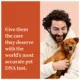 Product Wisdom Panel Premium Breed Identification & Health Condition Identification DNA Test for Dogs