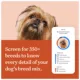 Product Wisdom Panel Premium Breed Identification & Health Condition Identification DNA Test for Dogs