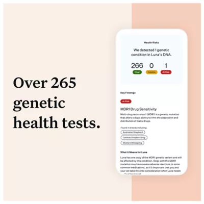 Product Wisdom Panel Premium Breed Identification & Health Condition Identification DNA Test for Dogs