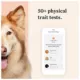 Product Wisdom Panel Premium Breed Identification & Health Condition Identification DNA Test for Dogs