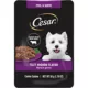 Product CESAR Filets in Gravy Wet Dog Food Filet Mignon Flavor, 1.76 oz. Mini-Pouch
