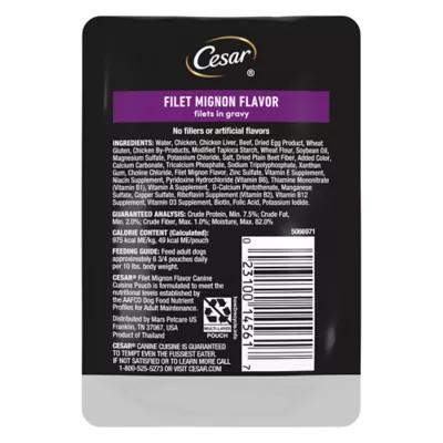 Product CESAR Filets in Gravy Wet Dog Food Filet Mignon Flavor, 1.76 oz. Mini-Pouch