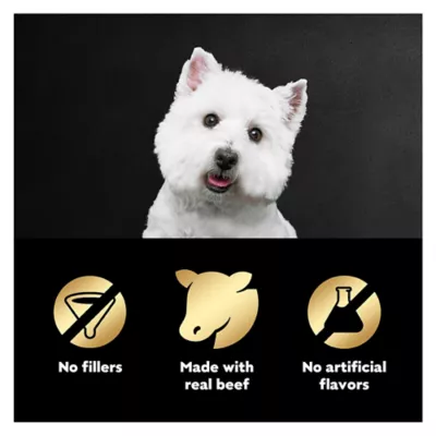 Product CESAR Filets in Gravy Wet Dog Food Filet Mignon Flavor, 1.76 oz. Mini-Pouch