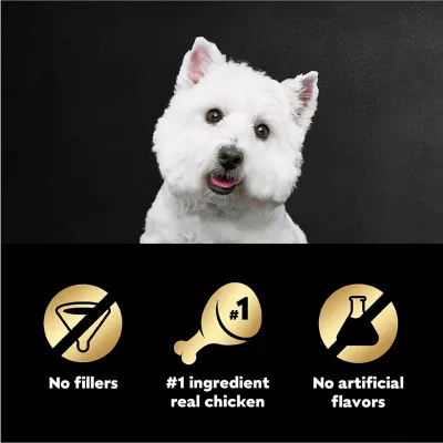 Product CESAR Filets in Gravy Wet Dog Food Rotisserie Chicken Flavor, 1.76 oz. Mini-Pouch