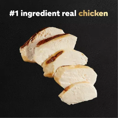 Product CESAR Filets in Gravy Wet Dog Food Wood-Grilled Chicken Flavor, 1.76 oz. Mini-Pouch