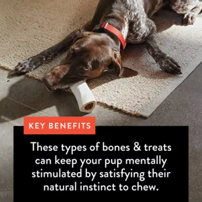 Product Dentley's Nature's Chews Beef Flavor Filled Bone Dog Chew 6 Inch 8 OZ