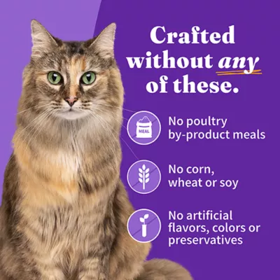 Product Halo Grain Free Cat Wet Food, Variety Pack - Chicken in Broth, Chicken Pate, Turkey & Duck, 12 CT