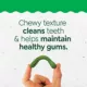 Product Greenies Puppy Dental Treat - 12 OZ