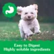Product Greenies Puppy Dental Treat - 12 OZ