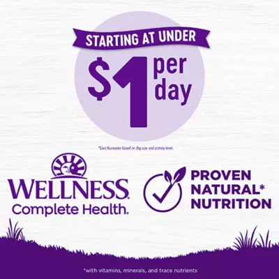 Product Wellness® Complete Health Adult Dog Food - Natural