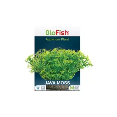 Product GloFish® Java Moss Plant
