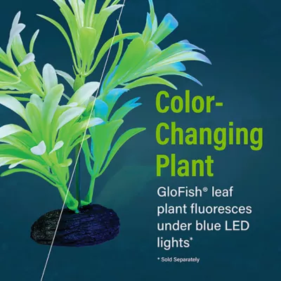 Product GloFish® Artificial Green & White Leaf Plant