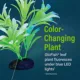 Product GloFish® Artificial Green & White Leaf Plant