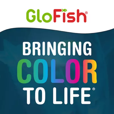 Product GloFish® Artificial Green & White Leaf Plant