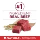 Product Purina ONE Small Bites Beef & Rice Adult Dry Dog Food 8 lb