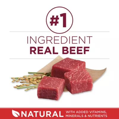 Product Purina ONE Small Bites Beef & Rice Adult Dry Dog Food 16.5 lb