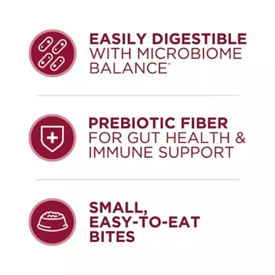 Product Purina ONE Small Bites Beef & Rice Adult Dry Dog Food 16.5 lb