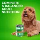 Product Iams Proactive Health Classic Ground Chicken & Rice Adult Wet Dog Food 13 oz. Can