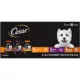 Product CESAR Filets in Gravy Wet Dog Food Variety Pack Mini-Pouch 40 Count
