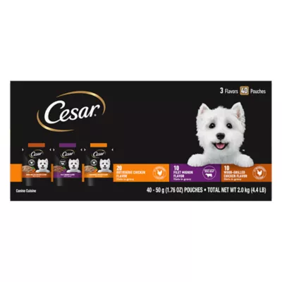 Product CESAR Filets in Gravy Wet Dog Food Variety Pack Mini-Pouch 40 Count