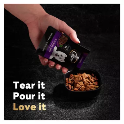 Product CESAR Filets in Gravy Wet Dog Food Variety Pack Mini-Pouch 40 Count