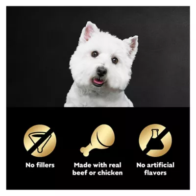 Product CESAR Filets in Gravy Wet Dog Food Variety Pack Mini-Pouch 40 Count