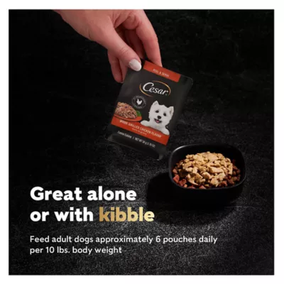 Product CESAR Filets in Gravy Wet Dog Food Variety Pack Mini-Pouch 40 Count