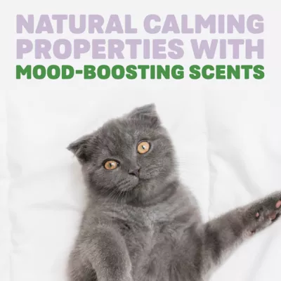 Product Naturally Fresh Lavender & Bamboo Cat Litter - Scented, 26 lb