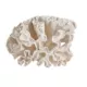 Product Top Fin® White Coral Aquarium Ornament