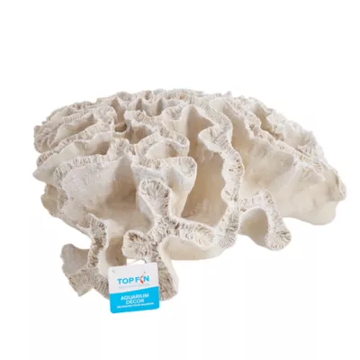 Product Top Fin® White Coral Aquarium Ornament