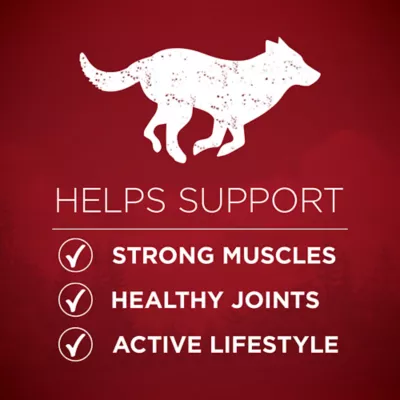 Product Purina ONE True Instinct Lean Muscle Support Real Beef Natural Adult Dry Dog Food 3.8 lbs